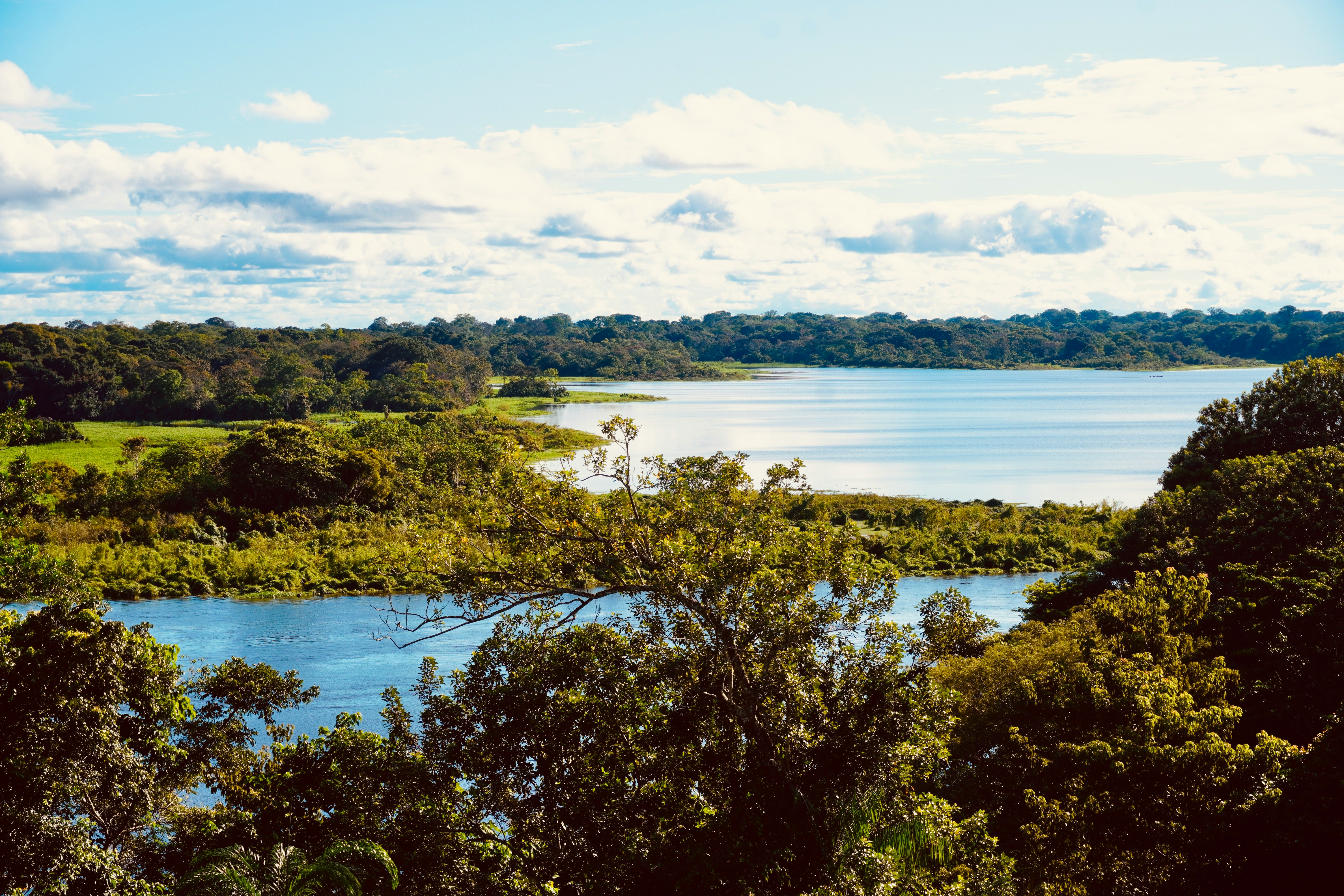 Amazonas