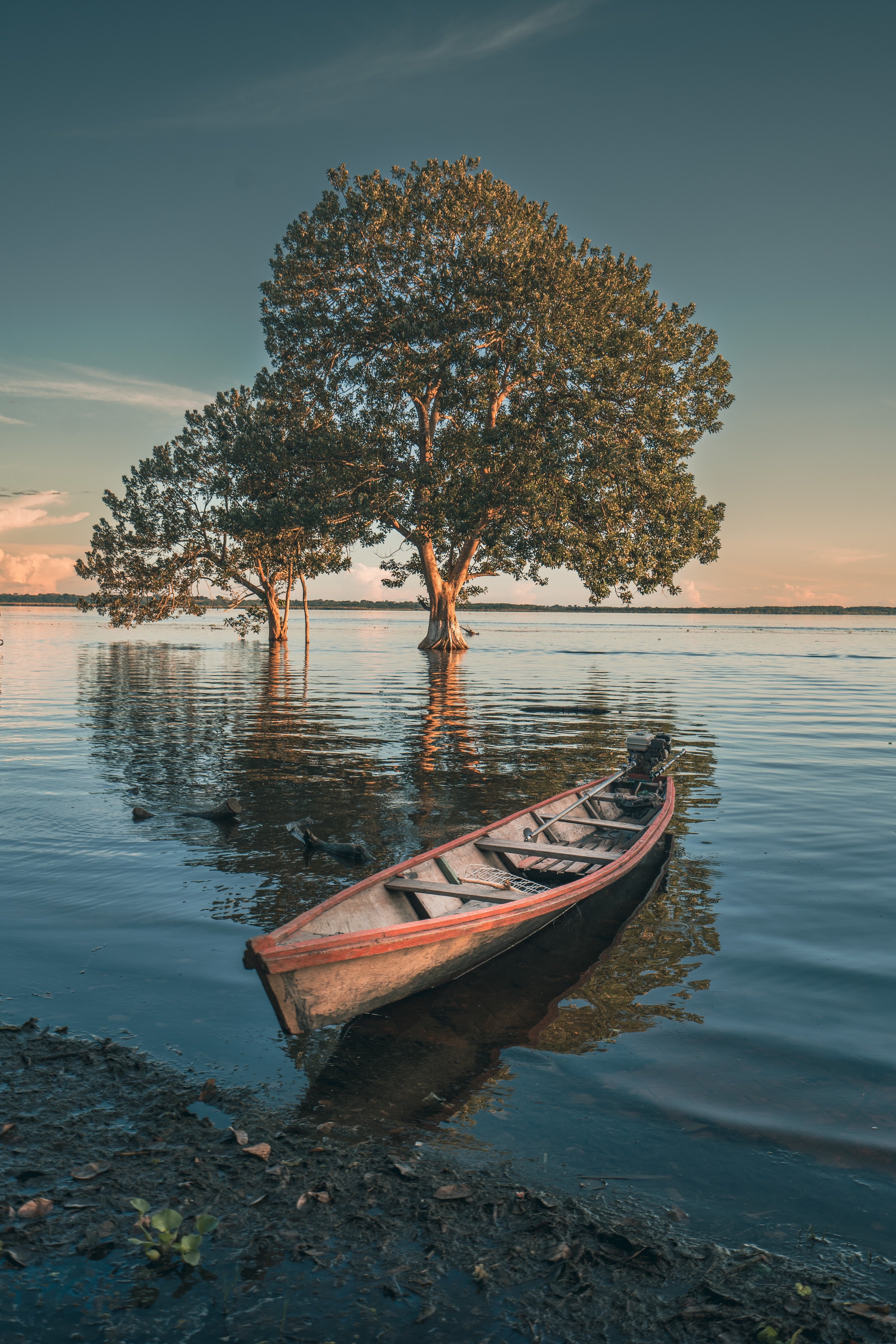 Amazonas - Cultura