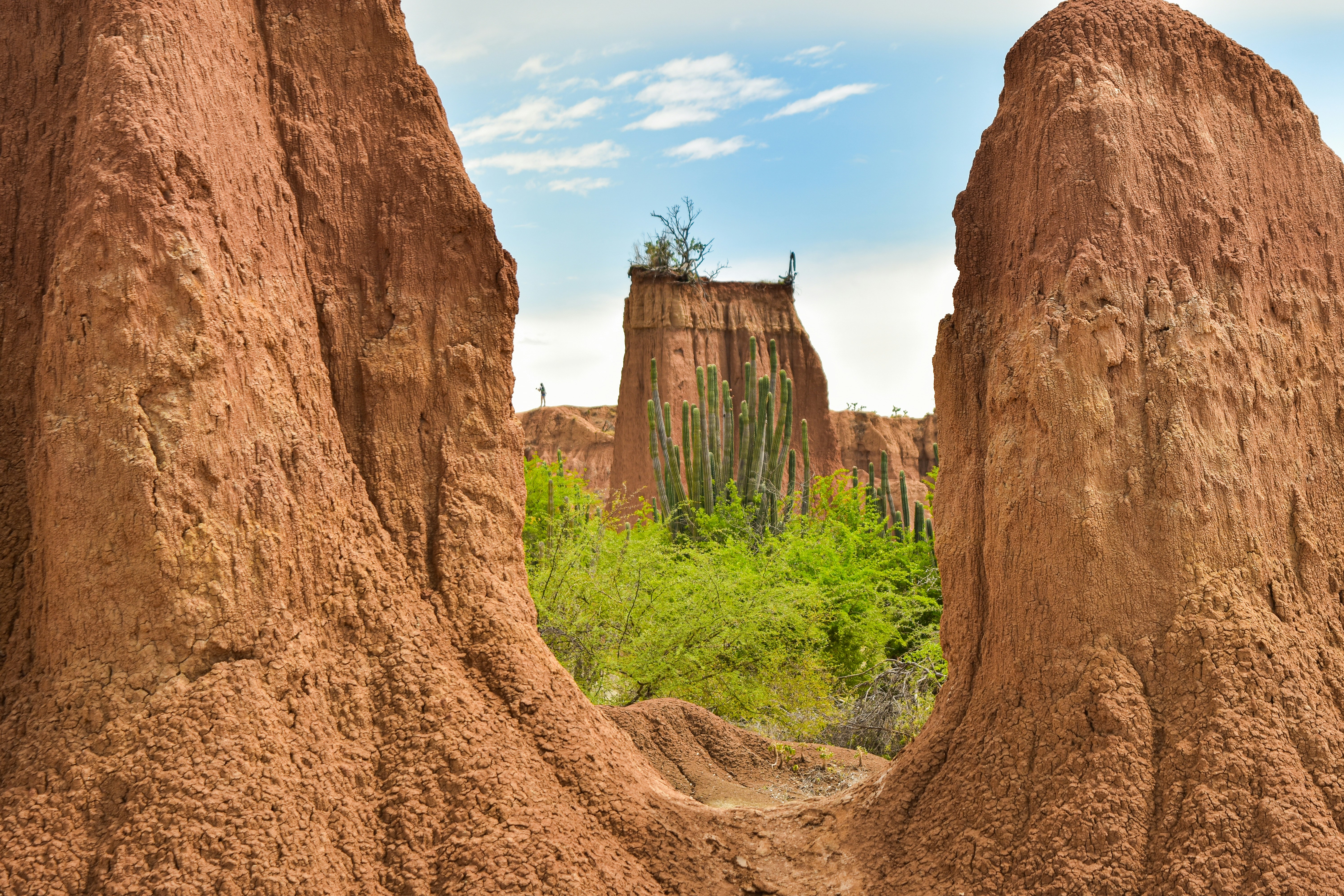 Desierto de Tatacoa - Principal